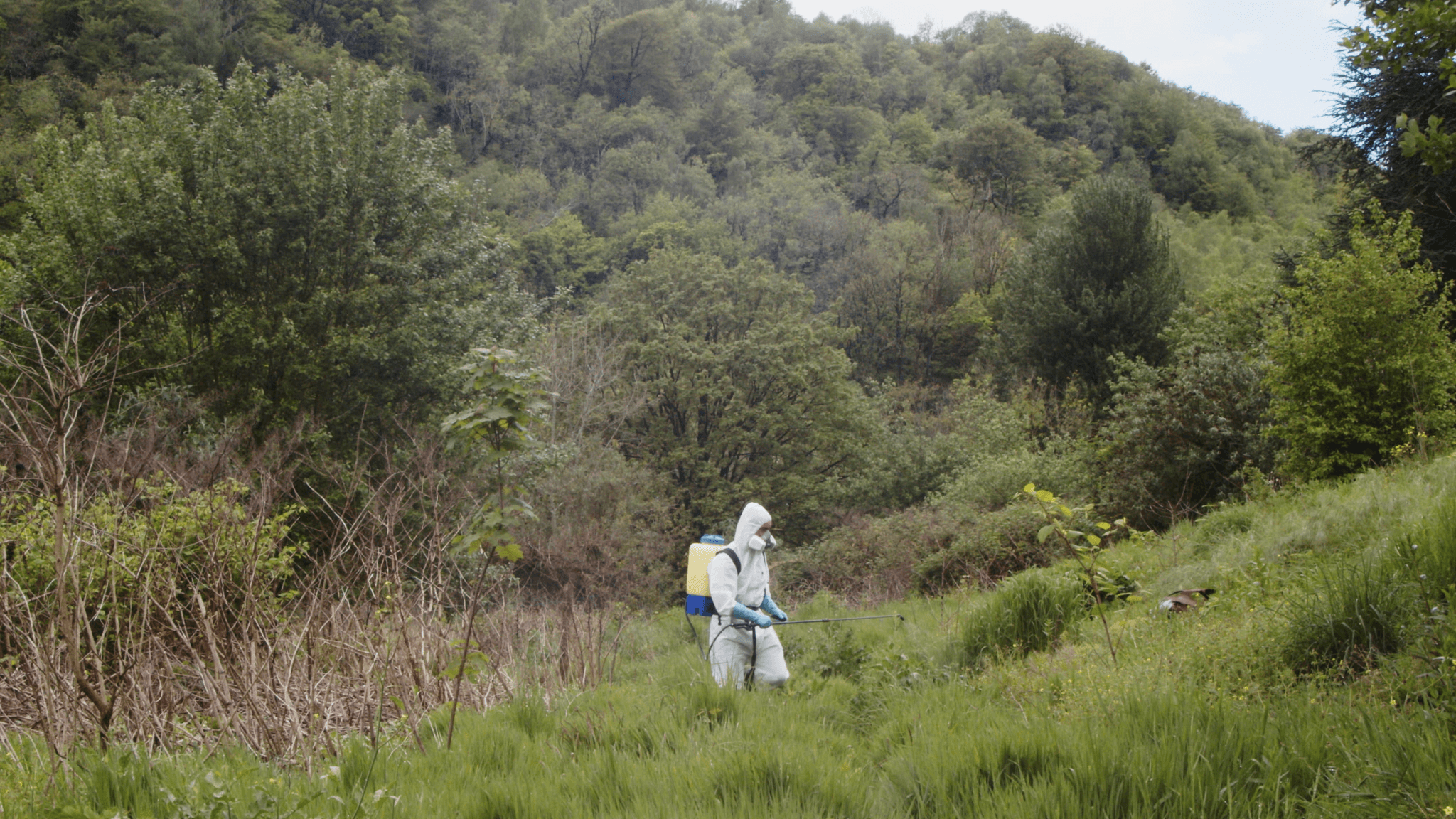 Still 2